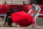 bullfight-2012796_1280